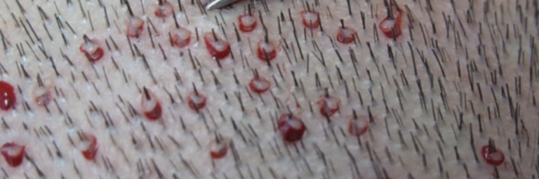 홈페이지 5 image 14