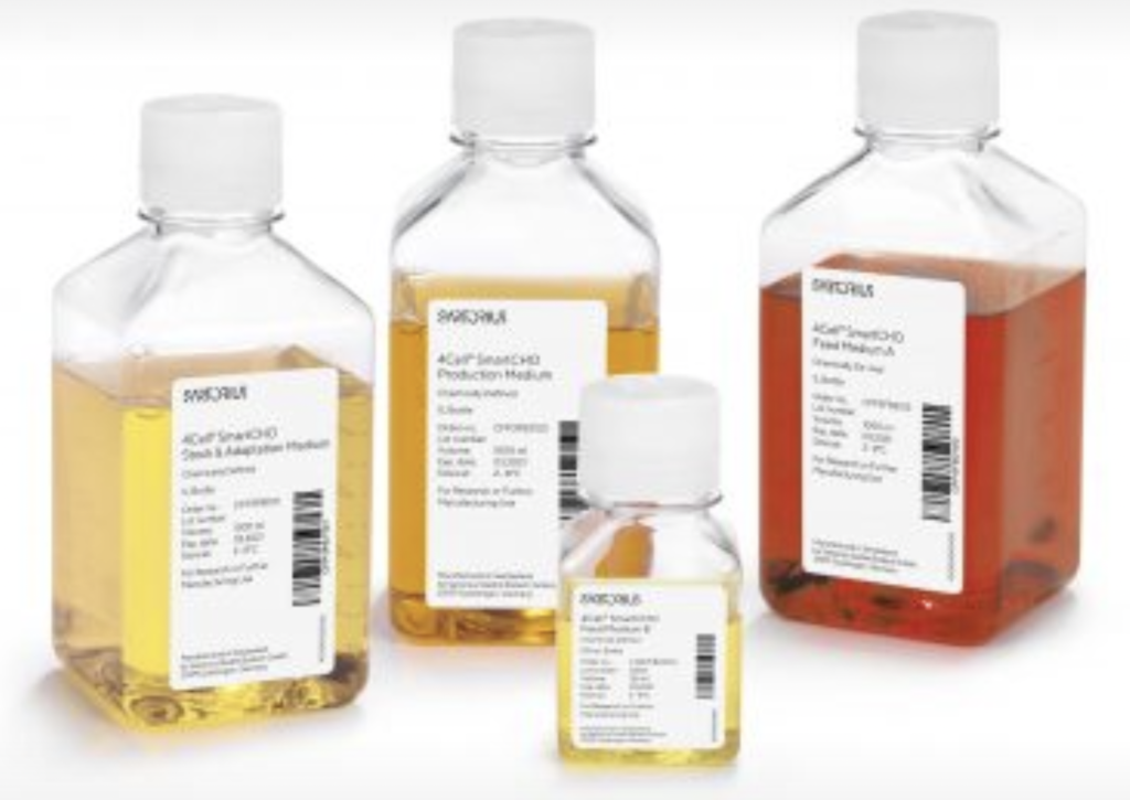 모발이식 생착률을 좌우하는 '모낭 보관 환경' 3 image 21