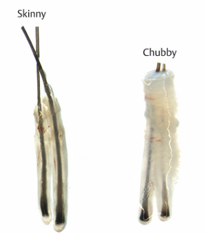 홈페이지 1 image 28