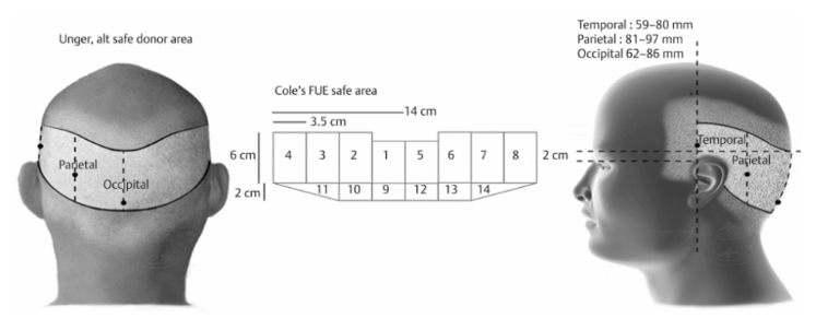 image 31