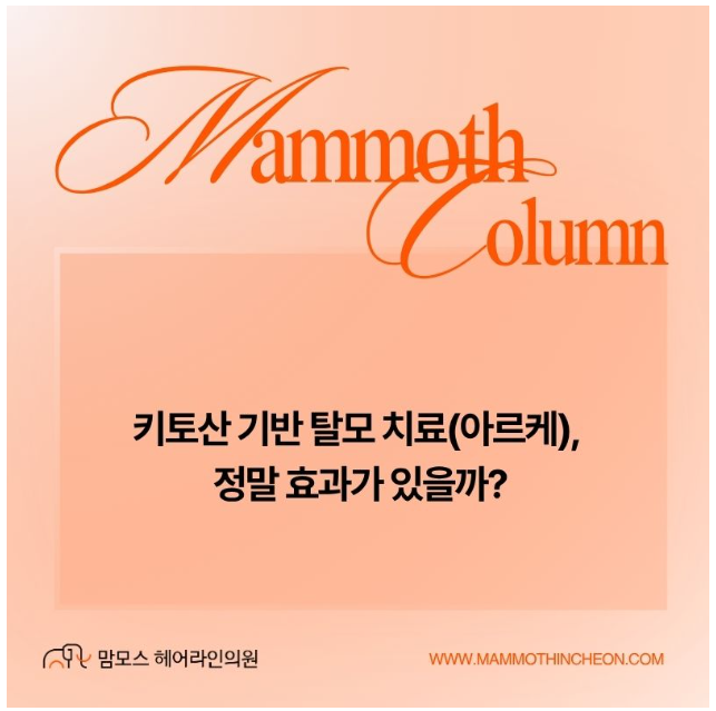홈페이지 3 image 10