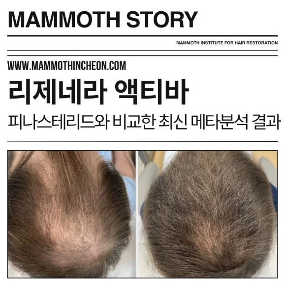 홈페이지 2 image 16