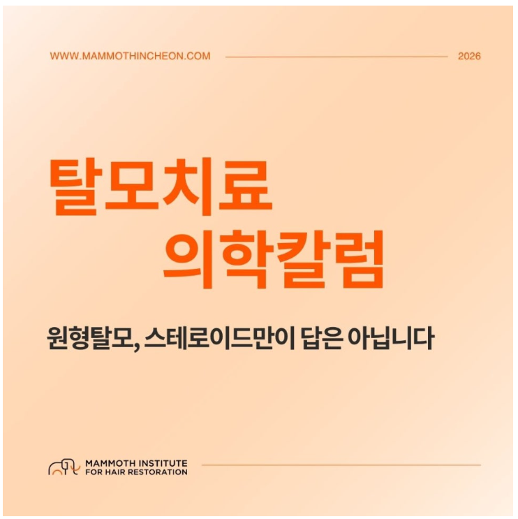홈페이지 1 image 22