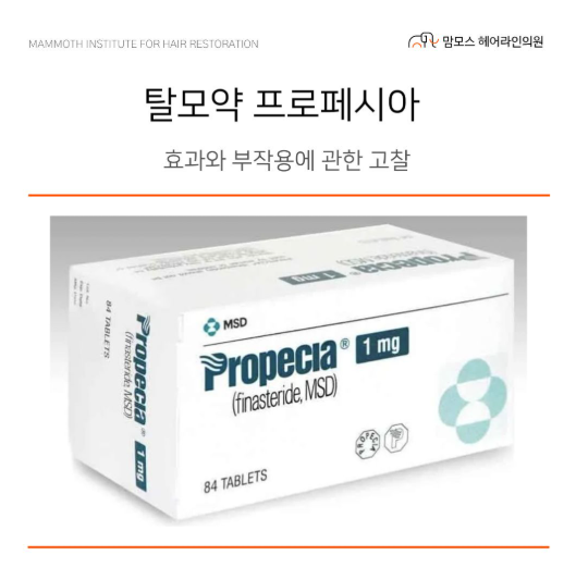 홈페이지 2 image 31
